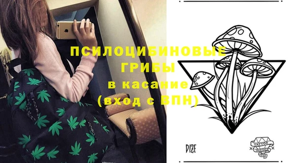 синтетический гашиш Козловка