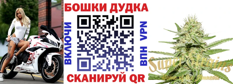 Канабис SATIVA & INDICA Кондрово
